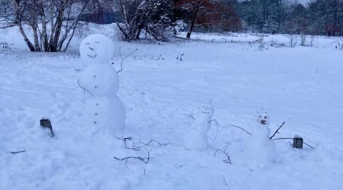 Winterzauber am Weidemoor: Unsere Schule versinkt im Schnee